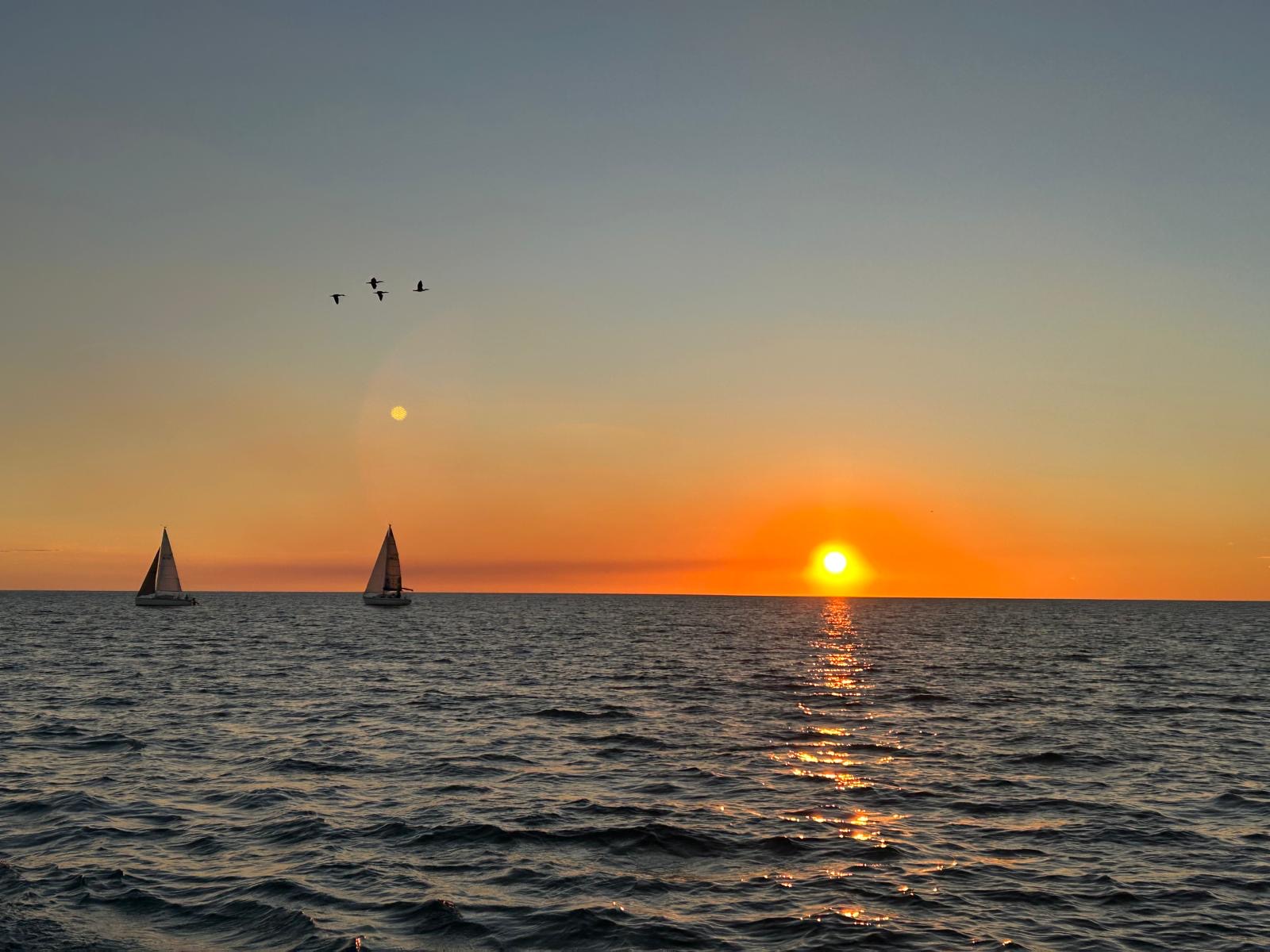 MOFSC keelboat sailing